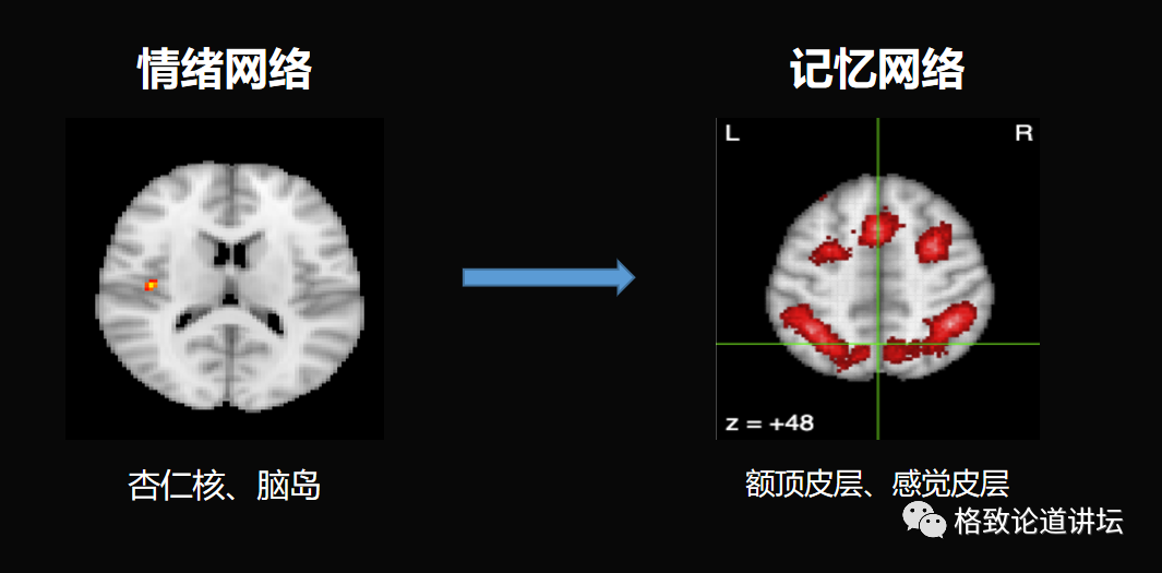 article_20240816_26.png