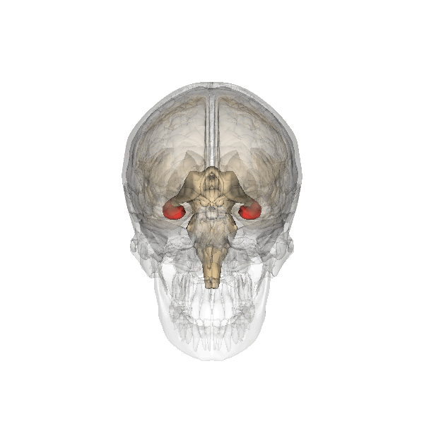 article_20240816_3.gif