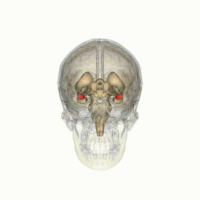 article_20240816_7.gif